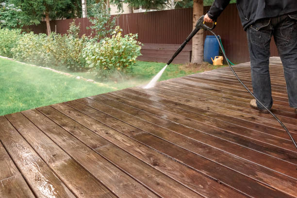 Best Residential Exterior Washing  in Atwater, MN
